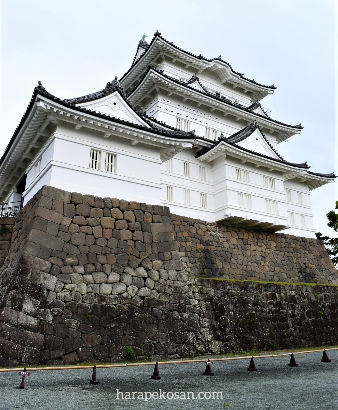 小田原城 の見どころ まとめ 管理栄養士ナツ はらぺこブログ