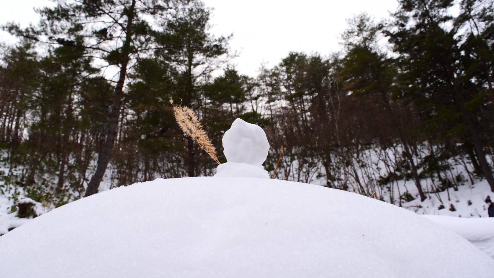 雪だるま