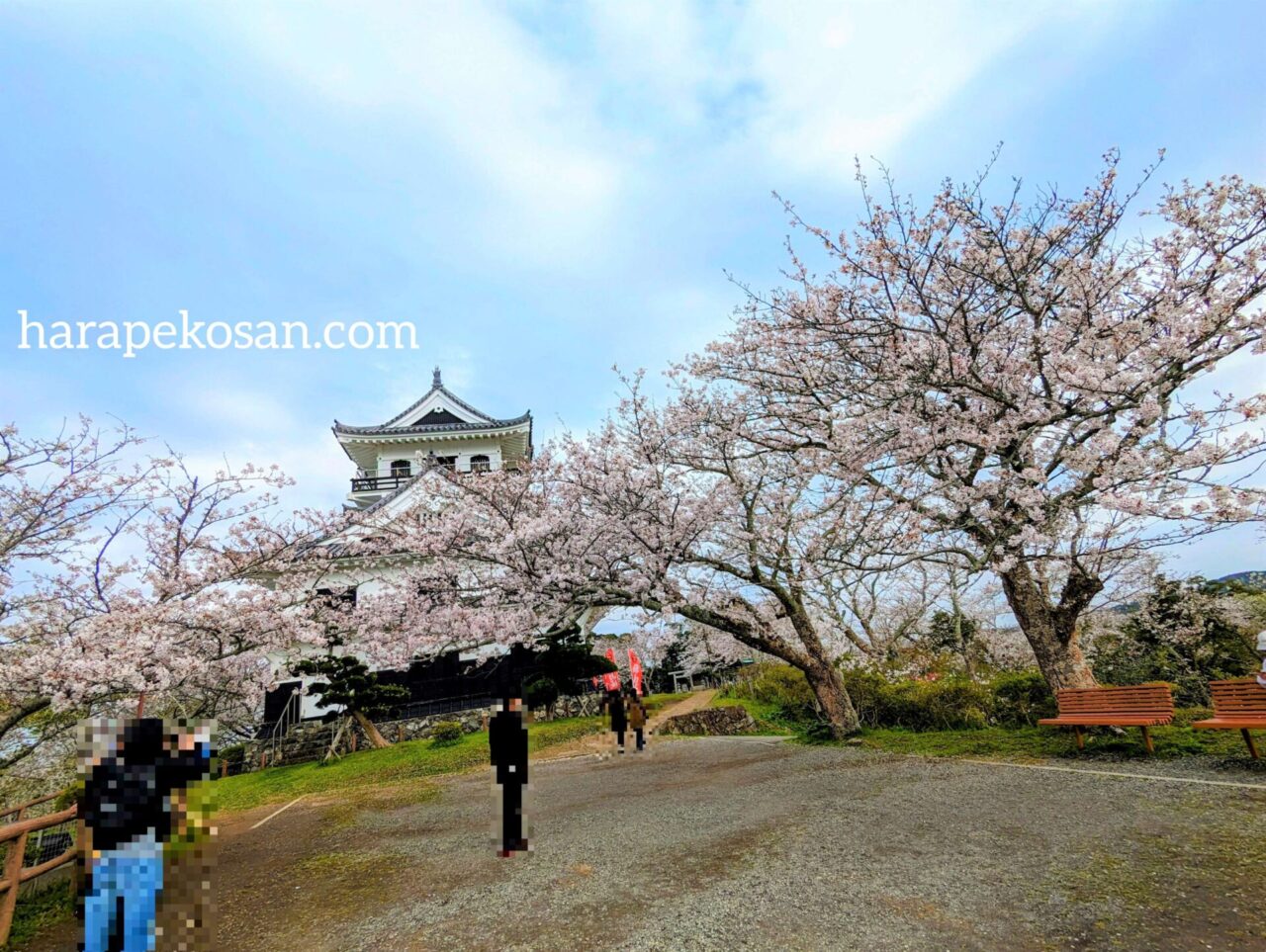 館山城と桜